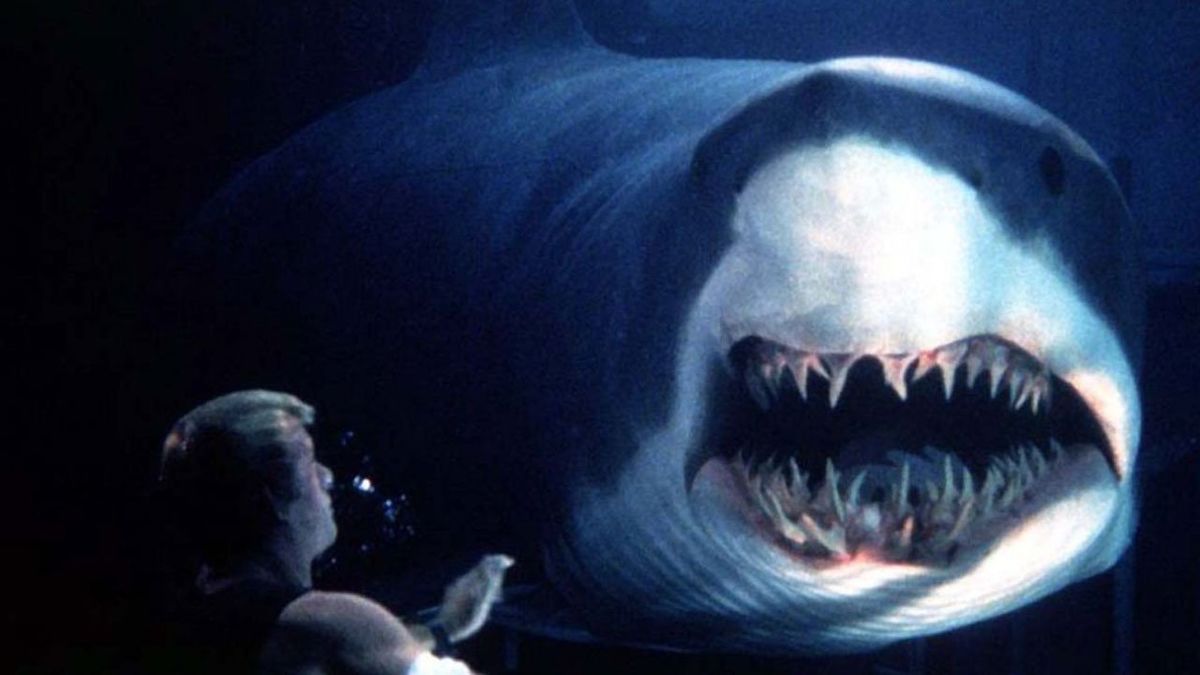 The Best Shark Movies That Aren’t Jaws ~ The Good in Movies